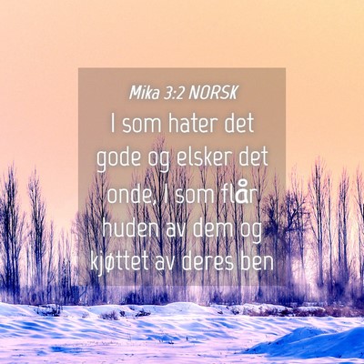 Picture 04 - Mika 3:2 NORSK - I som hater det gode og elsker det onde, I som - Bible Verse Picture