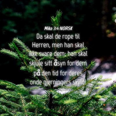 Picture 04 - Mika 3:4 NORSK - Da skal de rope til Herren, men han skal ikke - Bible Verse Picture