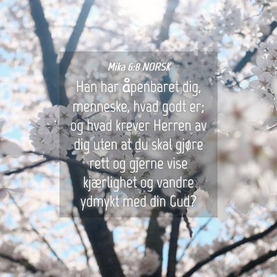 Picture 04 - Mika 6:8 NORSK - Han har åpenbaret dig, menneske, hvad godt er; - Bible Verse Picture