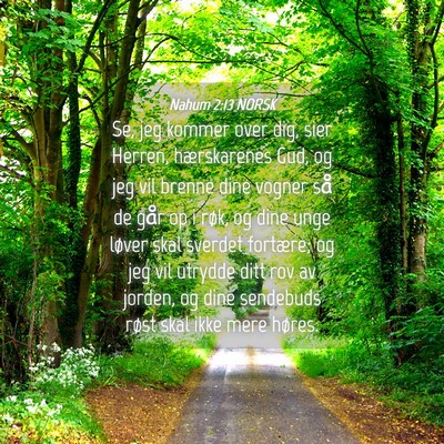 Picture 04 - Nahum 2:13 NORSK - Se, jeg kommer over dig, sier Herren, - Bible Verse Picture