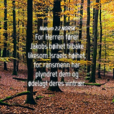 Picture 04 - Nahum 2:2 NORSK - For Herren fører Jakobs høihet tilbake likesom - Bible Verse Picture
