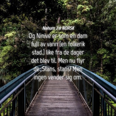Picture 04 - Nahum 2:8 NORSK - Og Ninive er som en dam full av vann {en folkerik - Bible Verse Picture