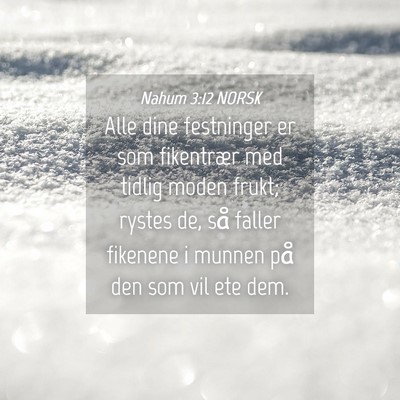 Picture 04 - Nahum 3:12 NORSK - Alle dine festninger er som fikentrær med tidlig - Bible Verse Picture