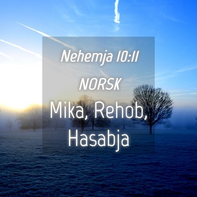 Picture 04 - Nehemja 10:11 NORSK - Mika, Rehob, - Bible Verse Picture