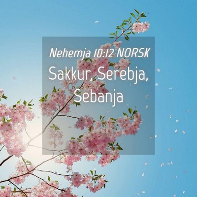 Picture 04 - Nehemja 10:12 NORSK - Sakkur, Serebja, - Bible Verse Picture