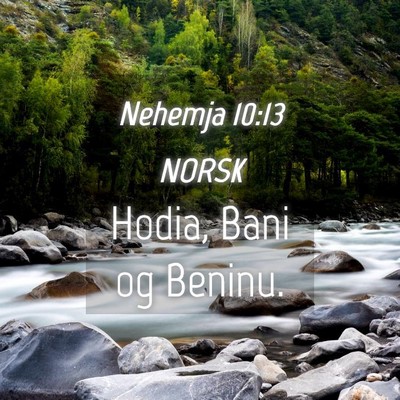 Picture 04 - Nehemja 10:13 NORSK - Hodia, Bani og - Bible Verse Picture