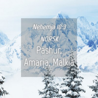 Picture 04 - Nehemja 10:3 NORSK - Pashur, Amarja, - Bible Verse Picture