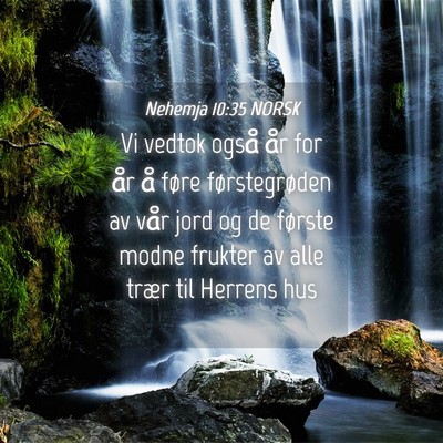 Picture 04 - Nehemja 10:35 NORSK - Vi vedtok også år for år å føre - Bible Verse Picture