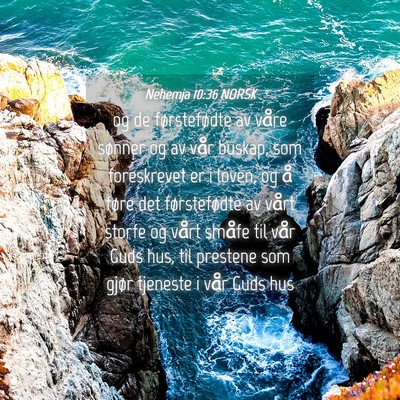 Picture 04 - Nehemja 10:36 NORSK - og de førstefødte av våre sønner og av vår - Bible Verse Picture