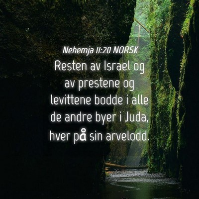 Picture 04 - Nehemja 11:20 NORSK - Resten av Israel og av prestene og levittene - Bible Verse Picture