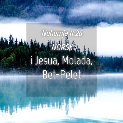 Picture 04 - Nehemja 11:26 NORSK - i Jesua, Molada, - Bible Verse Picture