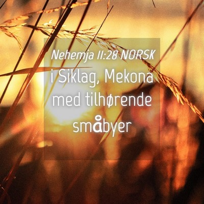 Picture 04 - Nehemja 11:28 NORSK - i Siklag, Mekona med tilhørende - Bible Verse Picture