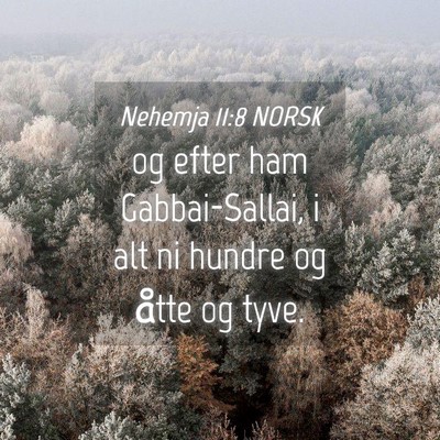 Picture 04 - Nehemja 11:8 NORSK - og efter ham Gabbai-Sallai, i alt ni hundre og - Bible Verse Picture