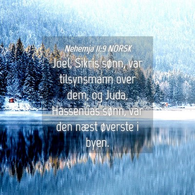 Picture 04 - Nehemja 11:9 NORSK - Joel, Sikris sønn, var tilsynsmann over dem, og - Bible Verse Picture