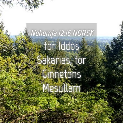 Picture 04 - Nehemja 12:16 NORSK - for Iddos Sakarias, for Ginnetons - Bible Verse Picture
