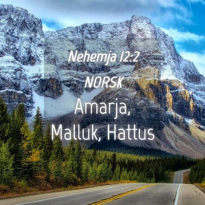 Picture 04 - Nehemja 12:2 NORSK - Amarja, Malluk, - Bible Verse Picture