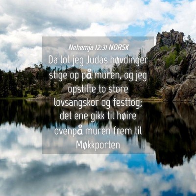 Picture 04 - Nehemja 12:31 NORSK - Da lot jeg Judas høvdinger stige op på muren, - Bible Verse Picture