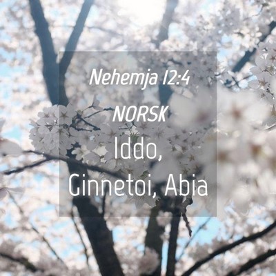 Picture 04 - Nehemja 12:4 NORSK - Iddo, Ginnetoi, - Bible Verse Picture