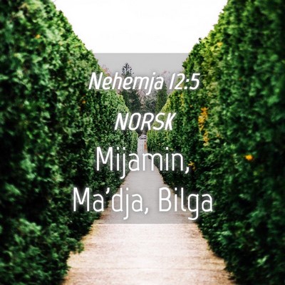 Picture 04 - Nehemja 12:5 NORSK - Mijamin, Ma'dja, - Bible Verse Picture