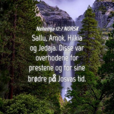 Picture 04 - Nehemja 12:7 NORSK - Sallu, Amok, Hilkia og Jedaja. Disse var - Bible Verse Picture
