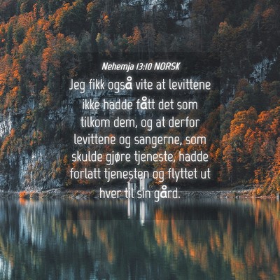Picture 04 - Nehemja 13:10 NORSK - Jeg fikk også vite at levittene ikke hadde fått - Bible Verse Picture