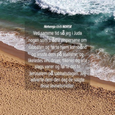 Picture 04 - Nehemja 13:15 NORSK - Ved samme tid så jeg i Juda nogen som trådte - Bible Verse Picture