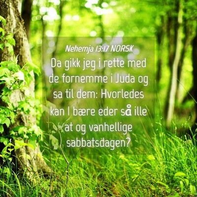 Picture 04 - Nehemja 13:17 NORSK - Da gikk jeg i rette med de fornemme i Juda og sa - Bible Verse Picture