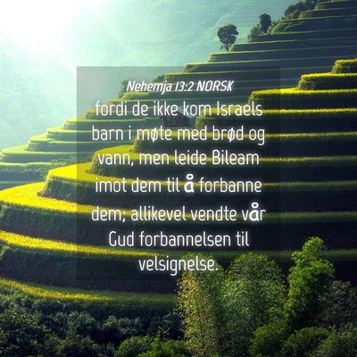 Picture 04 - Nehemja 13:2 NORSK - fordi de ikke kom Israels barn i møte med brød - Bible Verse Picture
