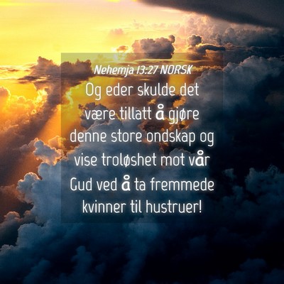 Picture 04 - Nehemja 13:27 NORSK - Og eder skulde det være tillatt å gjøre denne - Bible Verse Picture