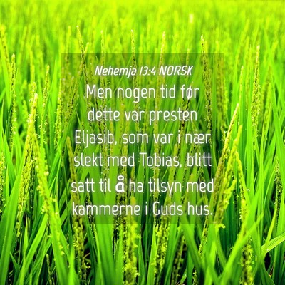 Picture 04 - Nehemja 13:4 NORSK - Men nogen tid før dette var presten Eljasib, som - Bible Verse Picture