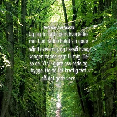Picture 04 - Nehemja 2:18 NORSK - Og jeg fortalte dem hvorledes min Gud hadde holdt - Bible Verse Picture