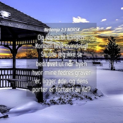 Picture 04 - Nehemja 2:3 NORSK - Og jeg sa til kongen: Kongen leve evindelig! - Bible Verse Picture