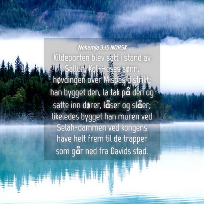Picture 04 - Nehemja 3:15 NORSK - Kildeporten blev satt i stand av Sallun, - Bible Verse Picture