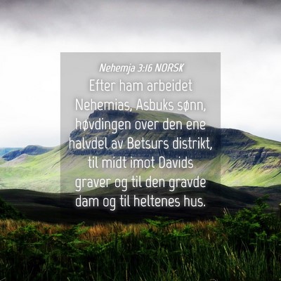 Picture 04 - Nehemja 3:16 NORSK - Efter ham arbeidet Nehemias, Asbuks sønn, - Bible Verse Picture
