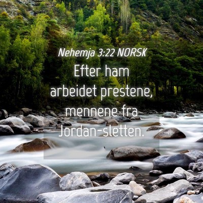 Picture 04 - Nehemja 3:22 NORSK - Efter ham arbeidet prestene, mennene fra - Bible Verse Picture