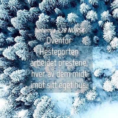 Picture 04 - Nehemja 3:28 NORSK - Ovenfor Hesteporten arbeidet prestene, hver av - Bible Verse Picture