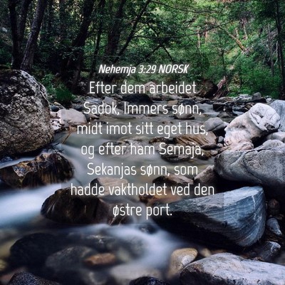 Picture 04 - Nehemja 3:29 NORSK - Efter dem arbeidet Sadok, Immers sønn, midt imot - Bible Verse Picture