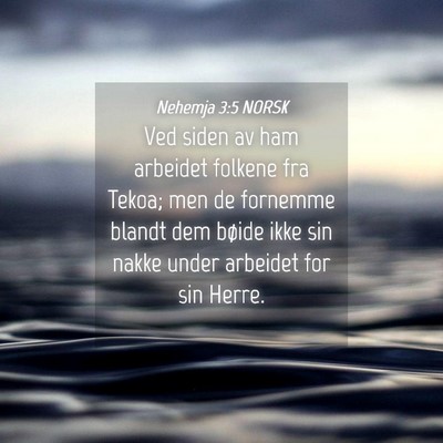 Picture 04 - Nehemja 3:5 NORSK - Ved siden av ham arbeidet folkene fra Tekoa; men - Bible Verse Picture