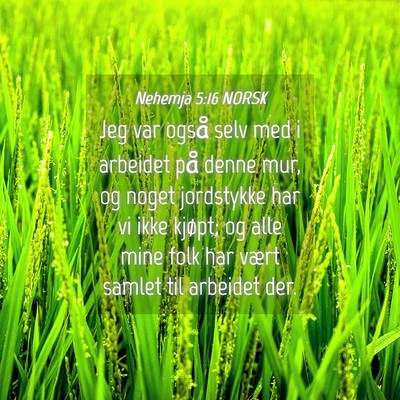 Picture 04 - Nehemja 5:16 NORSK - Jeg var også selv med i arbeidet på denne mur, - Bible Verse Picture