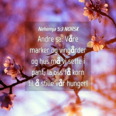 Picture 04 - Nehemja 5:3 NORSK - Andre sa: Våre marker og vingårder og hus må - Bible Verse Picture