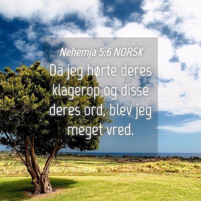 Picture 04 - Nehemja 5:6 NORSK - Da jeg hørte deres klagerop og disse deres ord, - Bible Verse Picture