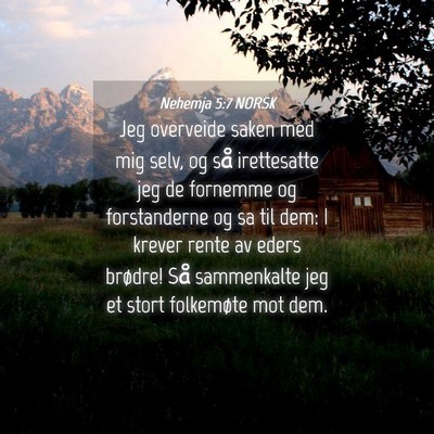 Picture 04 - Nehemja 5:7 NORSK - Jeg overveide saken med mig selv, og så - Bible Verse Picture