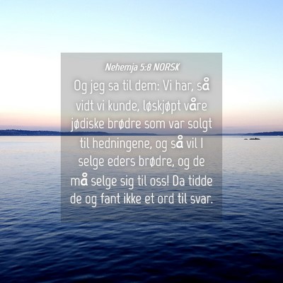 Picture 04 - Nehemja 5:8 NORSK - Og jeg sa til dem: Vi har, så vidt vi kunde, - Bible Verse Picture