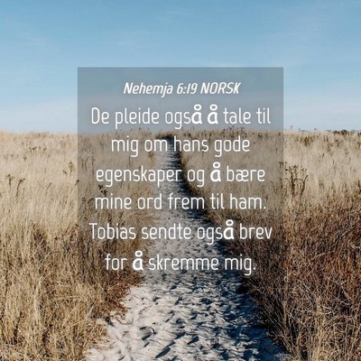 Picture 04 - Nehemja 6:19 NORSK - De pleide også å tale til mig om hans gode - Bible Verse Picture