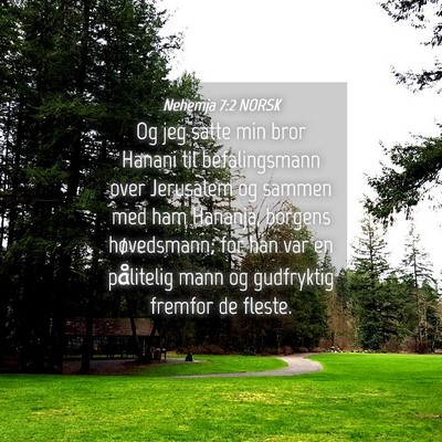 Picture 04 - Nehemja 7:2 NORSK - Og jeg satte min bror Hanani til befalingsmann - Bible Verse Picture