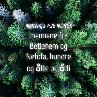 Picture 04 - Nehemja 7:26 NORSK - mennene fra Betlehem og Netofa, hundre og åtte - Bible Verse Picture