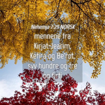Picture 04 - Nehemja 7:29 NORSK - mennene fra Kirjat-Jearim, Kefira og Be'rot, syv - Bible Verse Picture