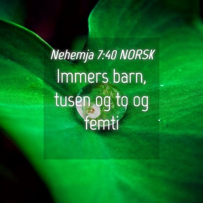Picture 04 - Nehemja 7:40 NORSK - Immers barn, tusen og to og - Bible Verse Picture