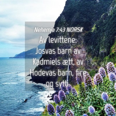 Picture 04 - Nehemja 7:43 NORSK - Av levittene: Josvas barn av Kadmiels ætt, av - Bible Verse Picture