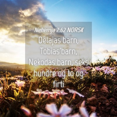 Picture 04 - Nehemja 7:62 NORSK - Delajas barn, Tobias'barn, Nekodas barn, seks - Bible Verse Picture